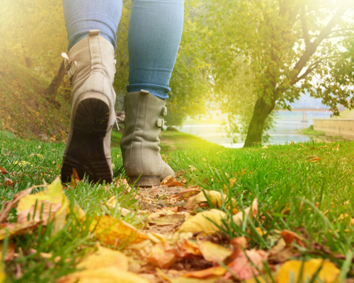 someone walking through autumn leaves towards a body of water